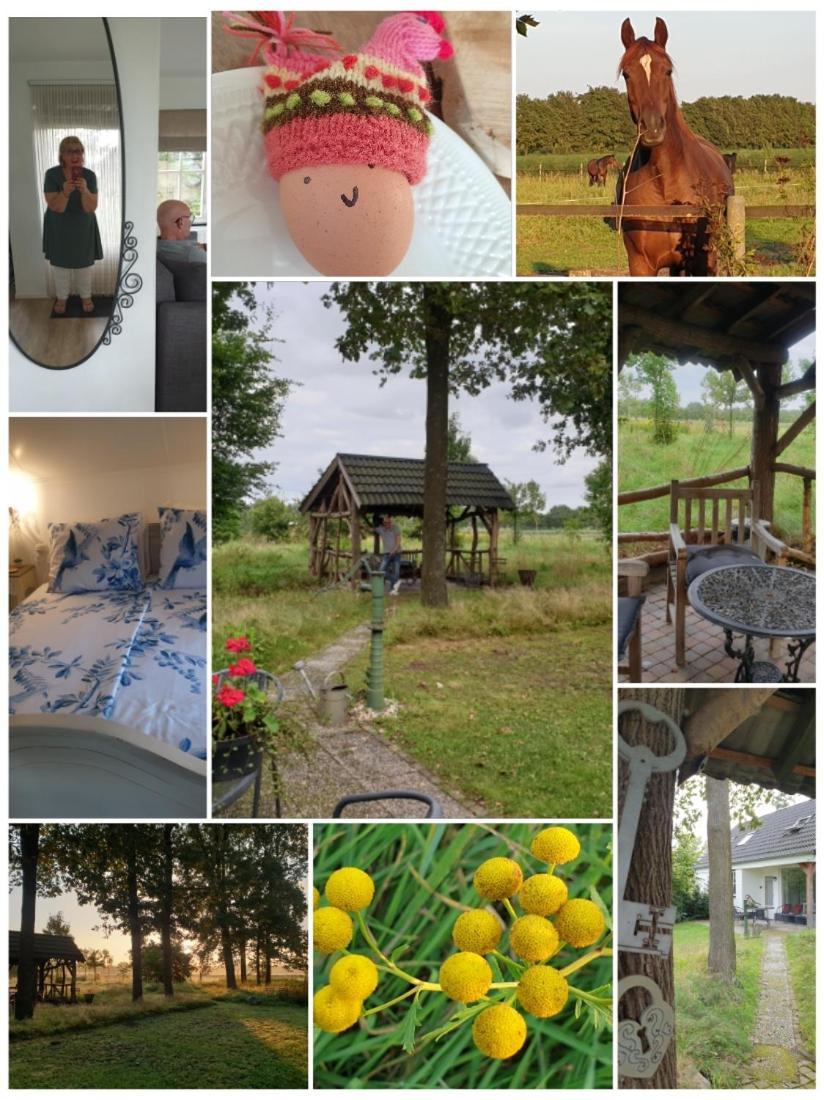 B&B Het Mooie Uitzicht Reuver Εξωτερικό φωτογραφία
